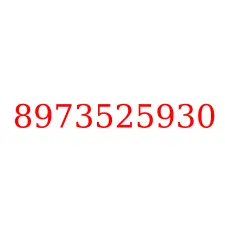 8973525930