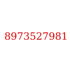 8973527981