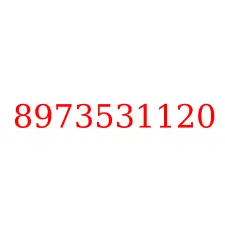 8973531120