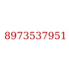 8973537951