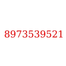 8973539521