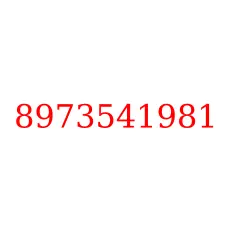 8973541981