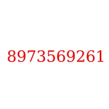 8973569261