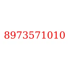 8973571010