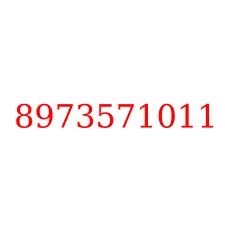 8973571011