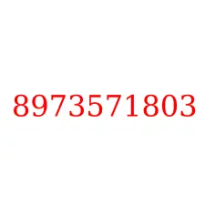 8973571803