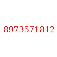 8973571812