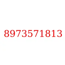 8973571813