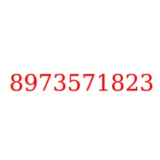 8973571823