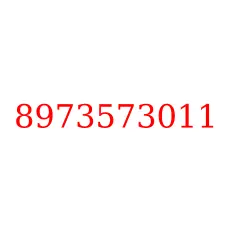 8973573011