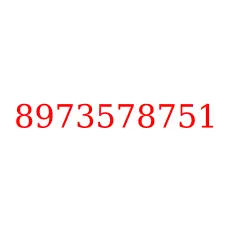 8973578751