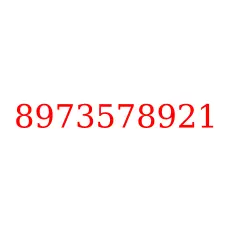 8973578921