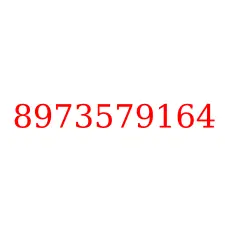 8973579164