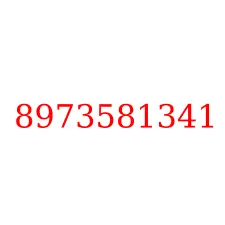 8973581341
