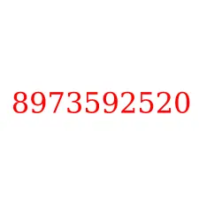 8973592520