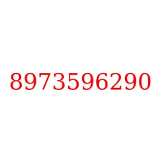 8973596290