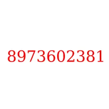 8973602381