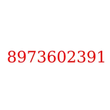 8973602391