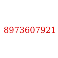 8973607921