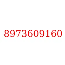 8973609160