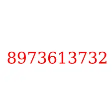 8973613732
