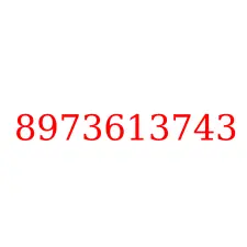 8973613743