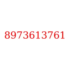 8973613761