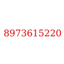 8973615220