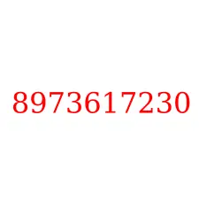 8973617230