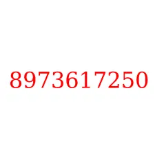 8973617250