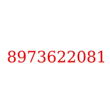 8973622081