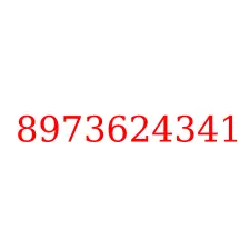 8973624341