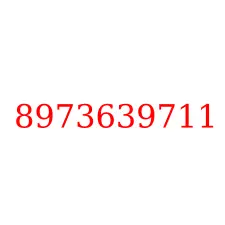 8973639711