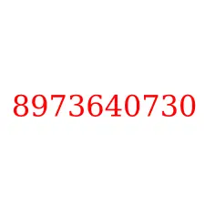 8973640730