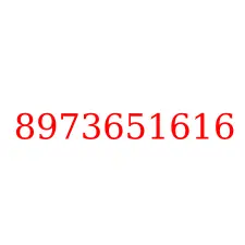 8973651616