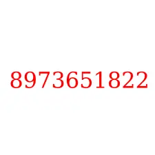 8973651822