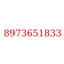 8973651833