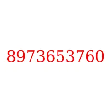 8973653760