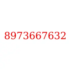 8973667632