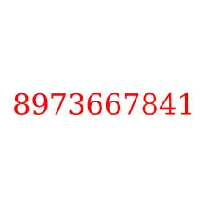 8973667841