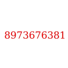 8973676381