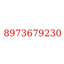 8973679230