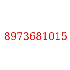 8973681015