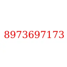 8973697173