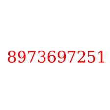 8973697251