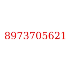 8973705621
