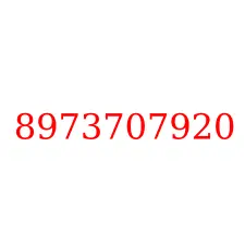 8973707920