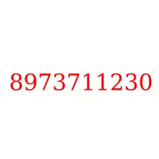 8973711230
