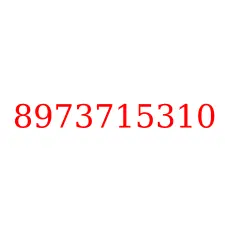 8973715310