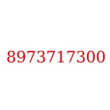 8973717300